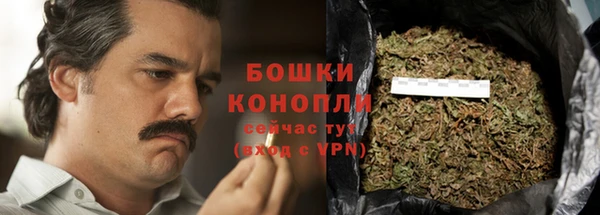 ГАЛЛЮЦИНОГЕННЫЕ ГРИБЫ Абаза