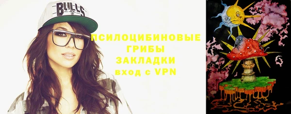 ГАЛЛЮЦИНОГЕННЫЕ ГРИБЫ Абаза
