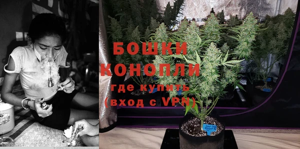шишки Абдулино