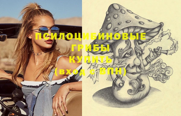 apvp Абинск