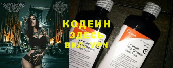 ГАЛЛЮЦИНОГЕННЫЕ ГРИБЫ Абаза
