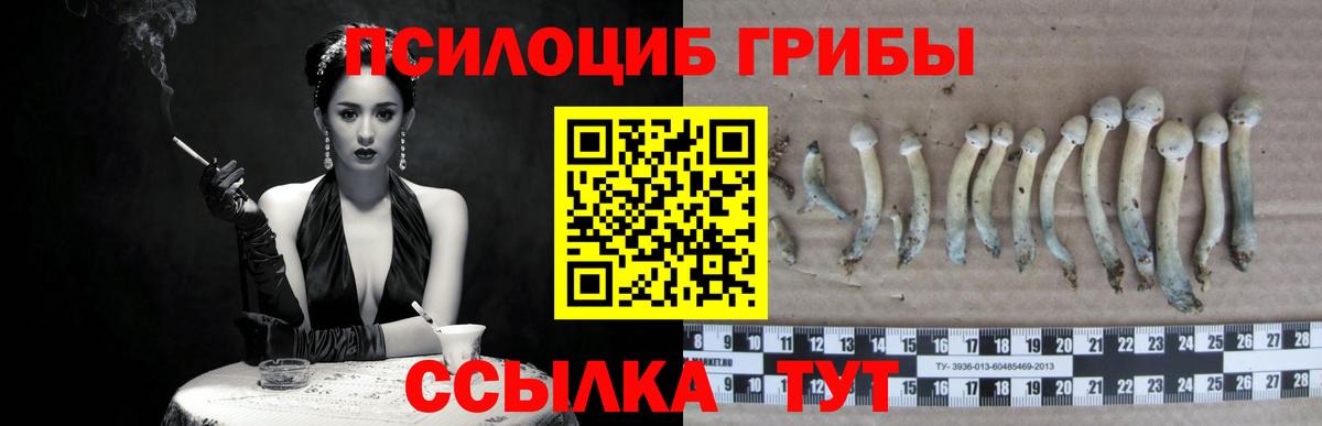 Галлюциногенные грибы Magic Shrooms Стрежевой